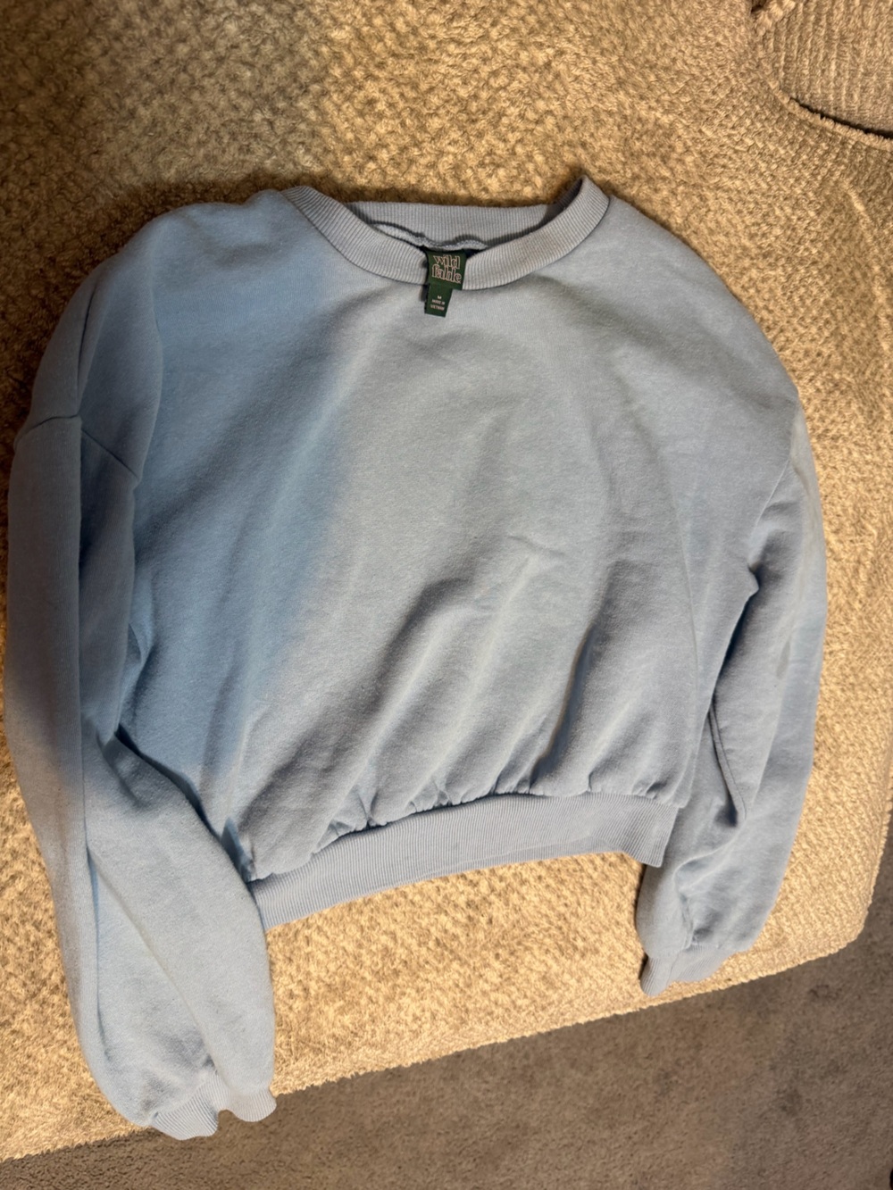wild fable Pale Blue Crewneck Sweatshirt - Picture 1 of 2